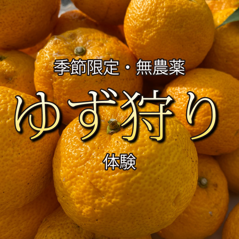 TOPページ用タイル画像_ゆず狩り